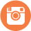 Instagram-Celosia-Orange
